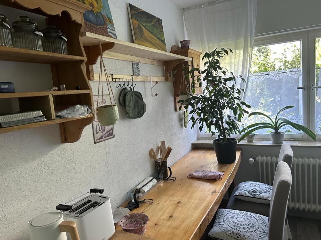 Ferienwohnung An Der Loipe Lichtenstein  Eksteriør bilde